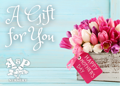 Mother's Day e-Gift Card