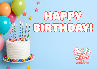 Birthday e-Gift Card