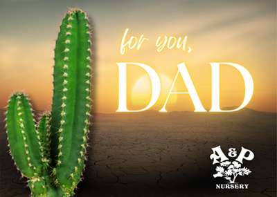 Father's Day e-Gift Card